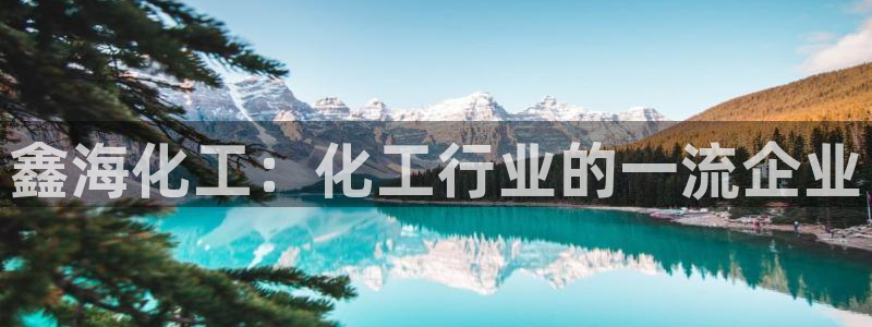 球盟会qmh网页版登录：鑫海化工：化工行业的一流企业