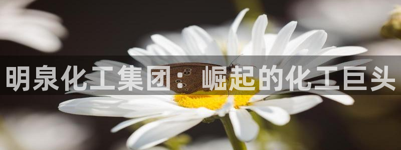 球盟会官方网站app