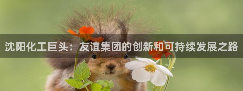 球盟会app手机登录：沈阳化工巨头：友谊集团的创新和可持续发