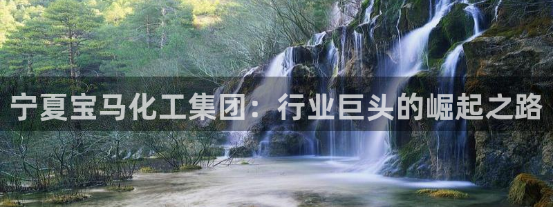 球盟会app网址多少号