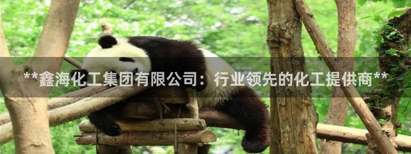 球盟会登录入口：**鑫海化工集团有限公司：行业领先的化工提供