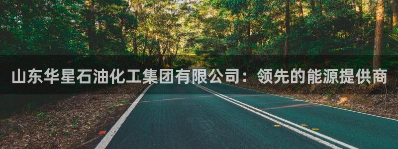 球盟会游戏：山东华星石油化工集团有限公司：领先的能源提供商