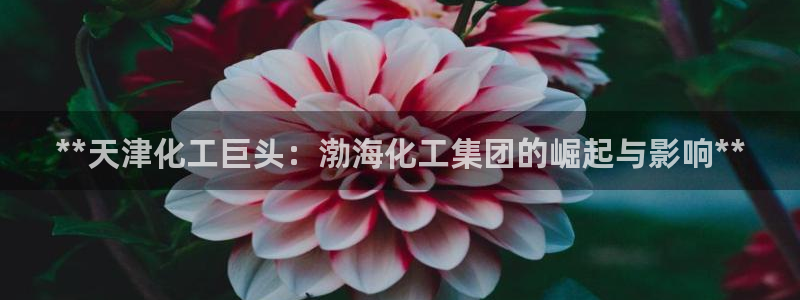 球盟会qmh网页版登录 - qm球盟会官方网站：**天津化工
