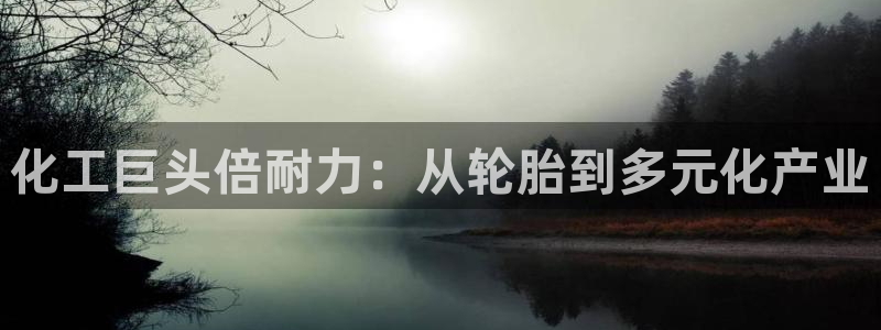 球盟会和中欧合作吗