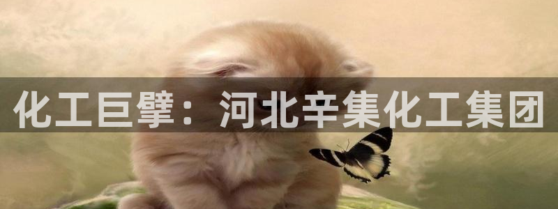 球盟会封禁：化工巨擘：河北辛集化工集团