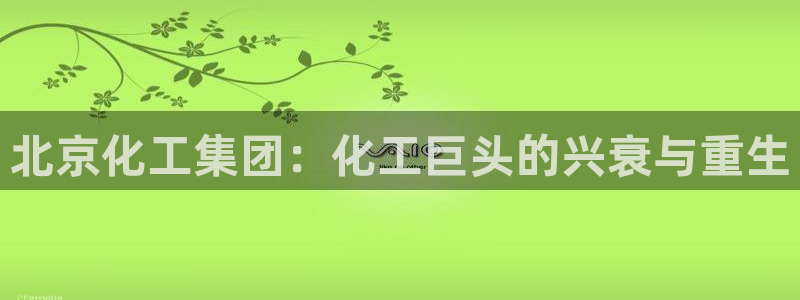 球盟会