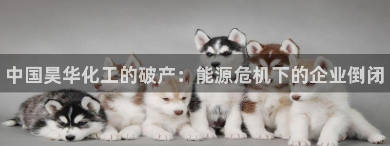 球盟会体育app官方网站：中国昊华化工的破产：能源危机下的企