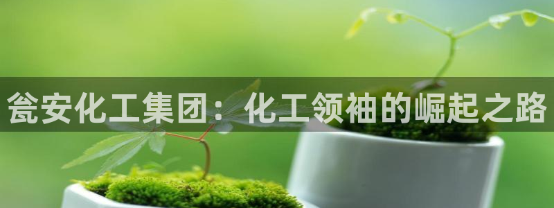球盟会官网app下载
