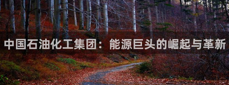 球盟会优惠券