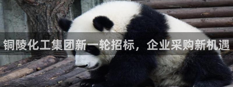 球盟会在线网站