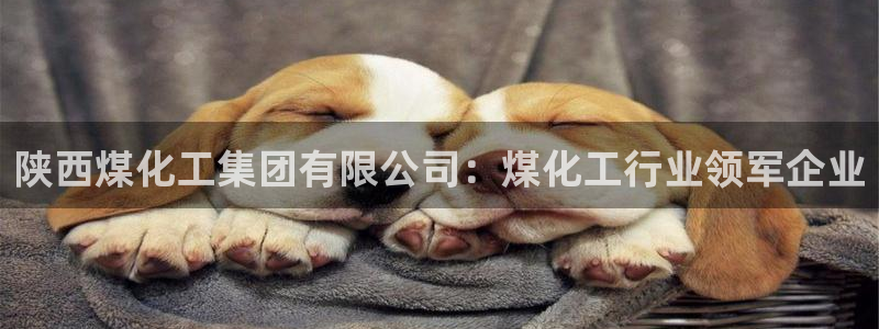 球盟会登录平台入口：陕西煤化工集团有限公司：煤化工行业领军企