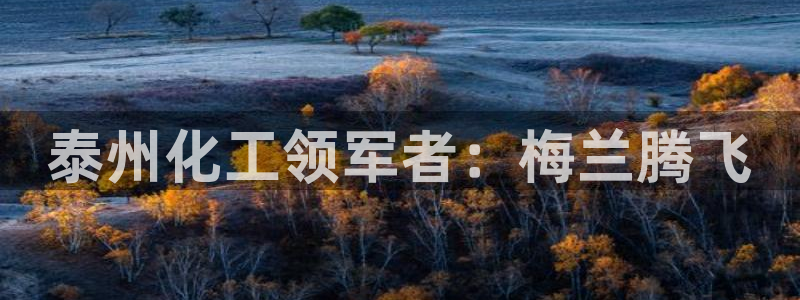 球盟会app最新地址下载：泰州化工领军者：梅兰腾飞