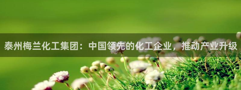 球盟会国际官网：泰州梅兰化工集团：中国领先的化工企业，推动产