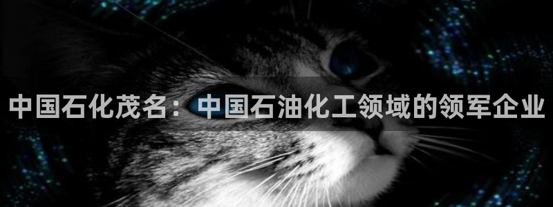 球盟会qm