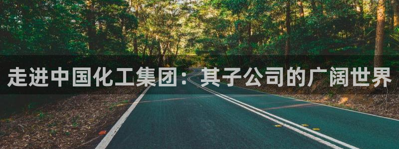 球盟会官方网站