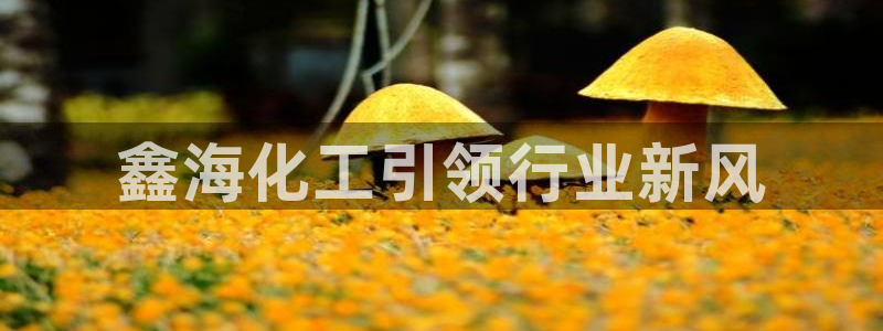 球盟会优惠券：鑫海化工引领行业新风