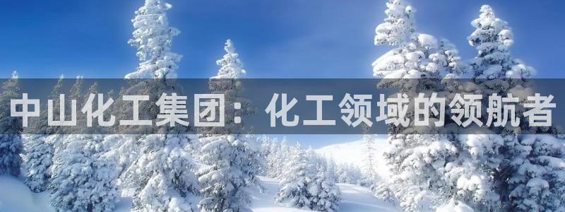 球盟会网址