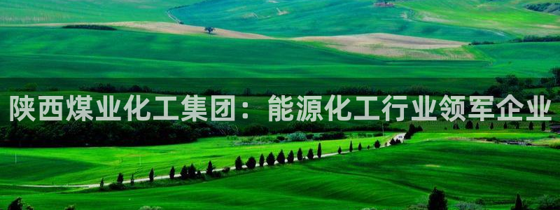 球盟会有没有黑单的球员