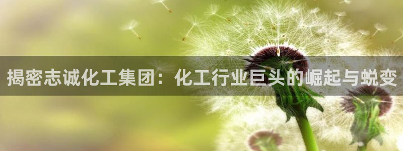 球盟会qmh网页版登录