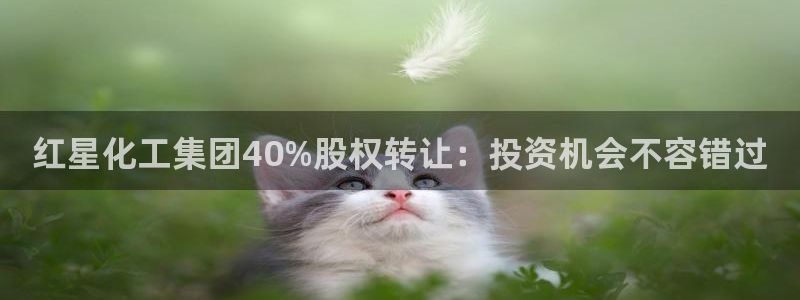 球盟会平台会黑单吗