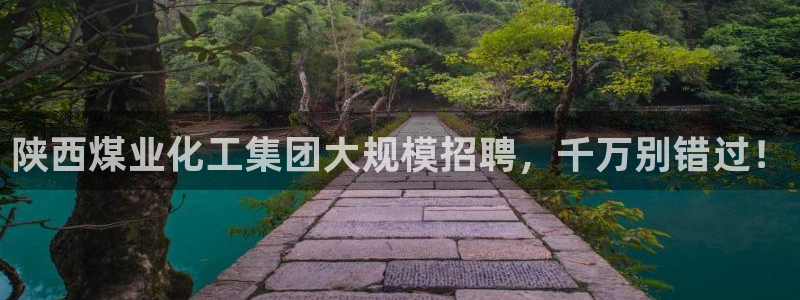 球盟会进不去吗：陕西煤业化工集团大规模招聘，千万别错过！