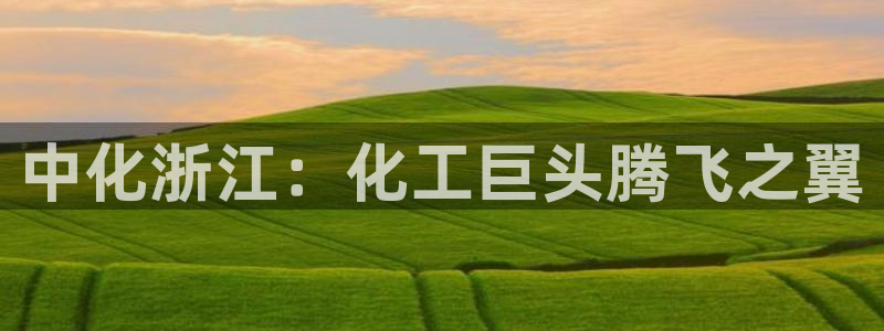 球盟会电子游戏平台：中化浙江：化工巨头腾飞之翼