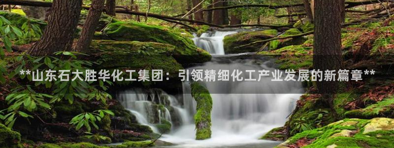 球盟会官方登录平台：**山东石大胜华化工集团：引领精细化工产
