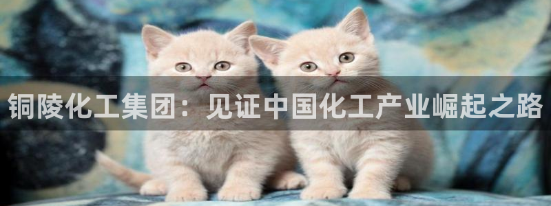 球盟会电子好下吗