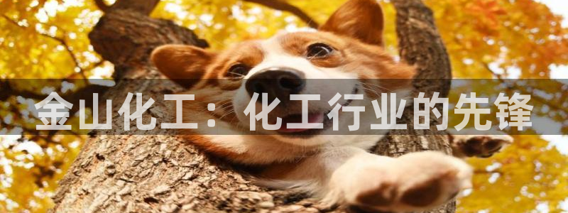球盟会最新地址备用：金山化工：化工行业的先锋