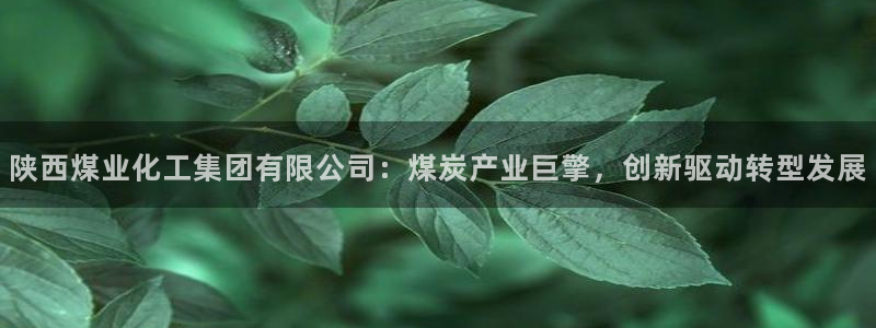 球盟会最新活动：陕西煤业化工集团有限公司：煤炭产业巨擎，创新