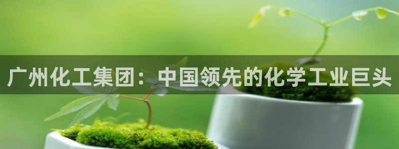 球盟会APP下载