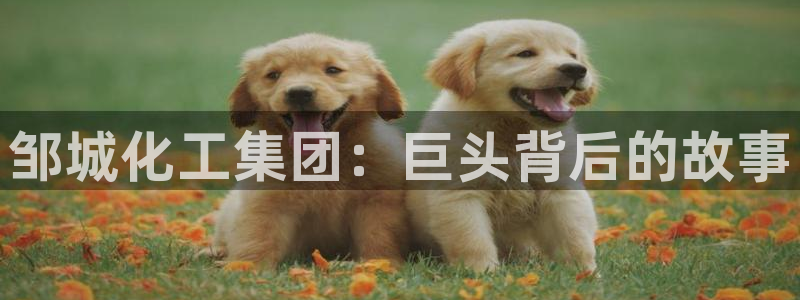 球盟会娱乐平台