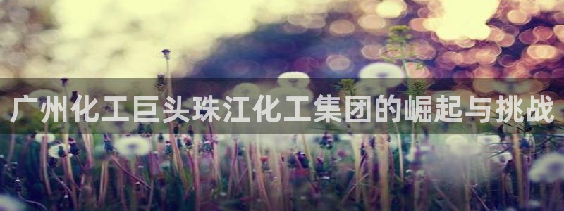 球盟会App