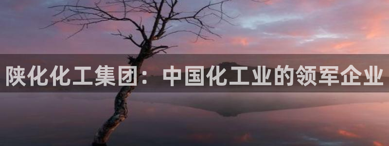 球盟会网页登录入口