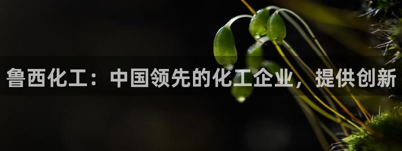 球盟会qmh电子网页版登录：鲁西化工：中国领先的化工企业，提