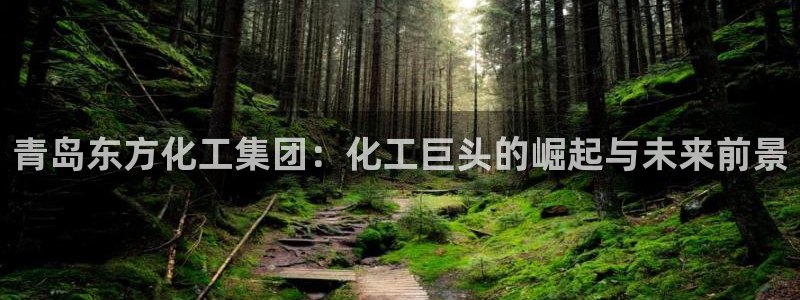 球盟会在线登录官网