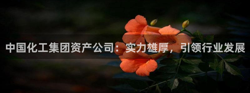 球盟会官方网址入口