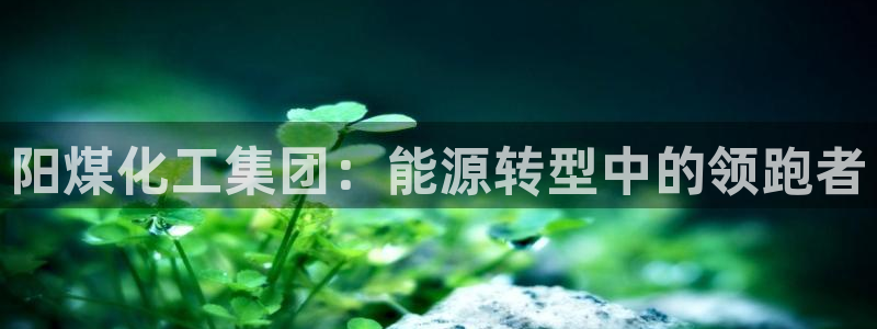 球盟会官网登录入口