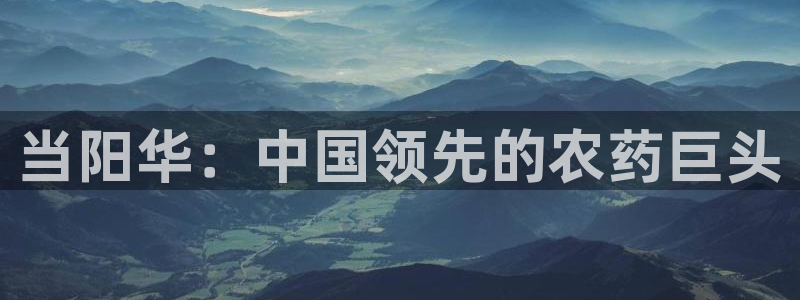 球盟会能提现吗：当阳华：中国领先的农药巨头