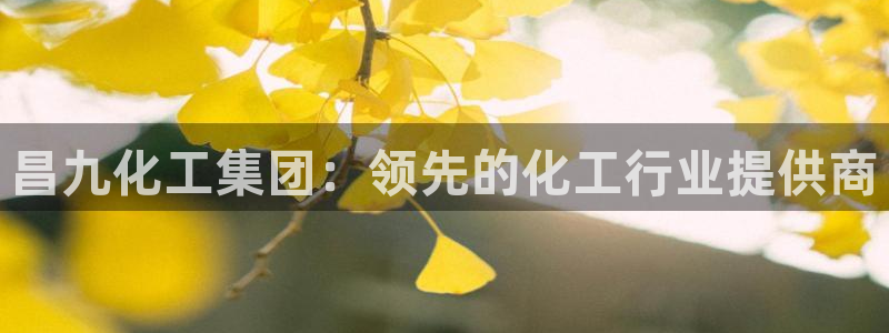 球盟会黑网