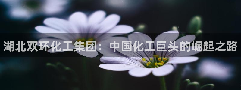 球盟会登录网址
