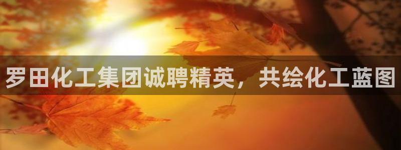 球盟会黑款吗知乎