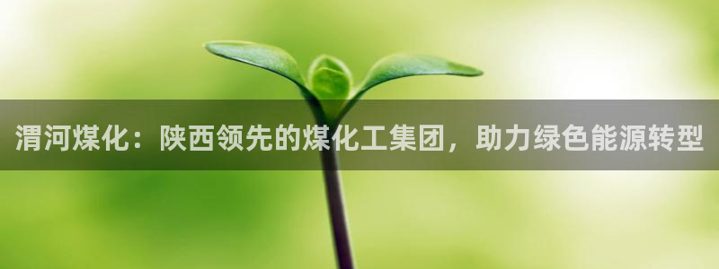 球盟会贴吧：渭河煤化：陕西领先的煤化工集团，助力绿色能源转型