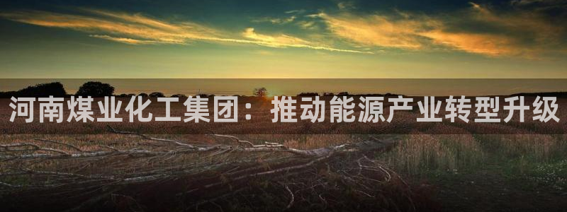 球盟会qm8597：河南煤业化工集团：推动能源产业转型升级