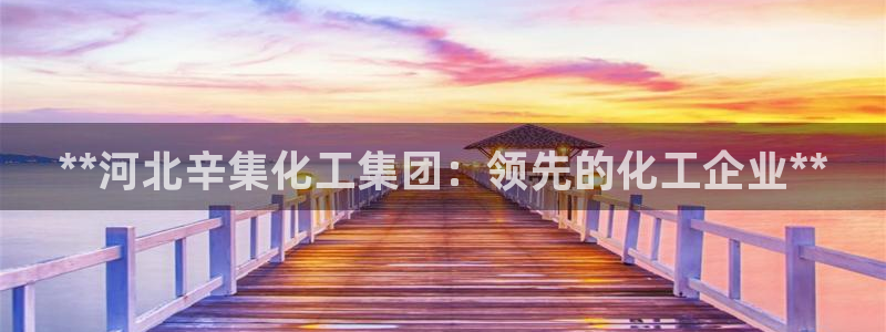 球盟会登陆中心：**河北辛集化工集团：领先的化工企业**