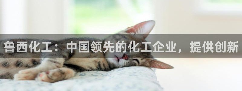 球盟会乐虎：鲁西化工：中国领先的化工企业，提供创新