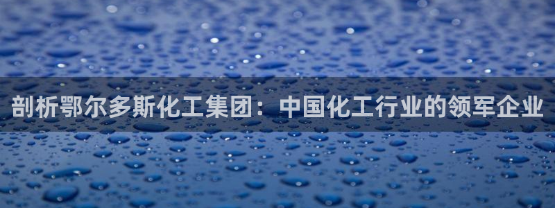 球盟会网址多少