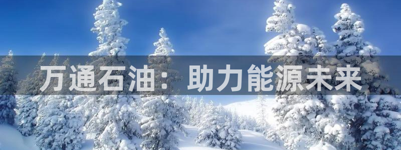 球盟会电子：万通石油：助力能源未来