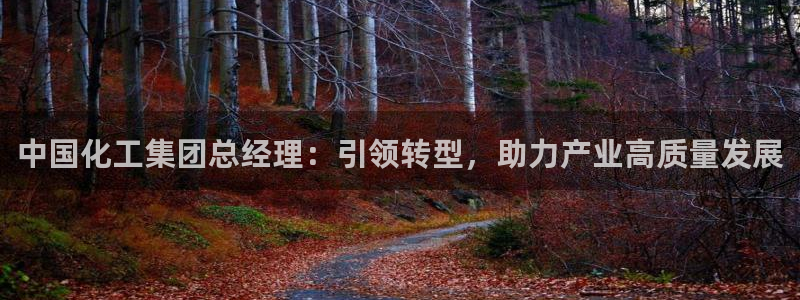 球盟会官方登录平台入口：中国化工集团总经理：引领转型，助力产