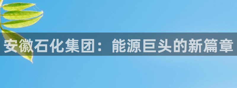 球盟会qm8597